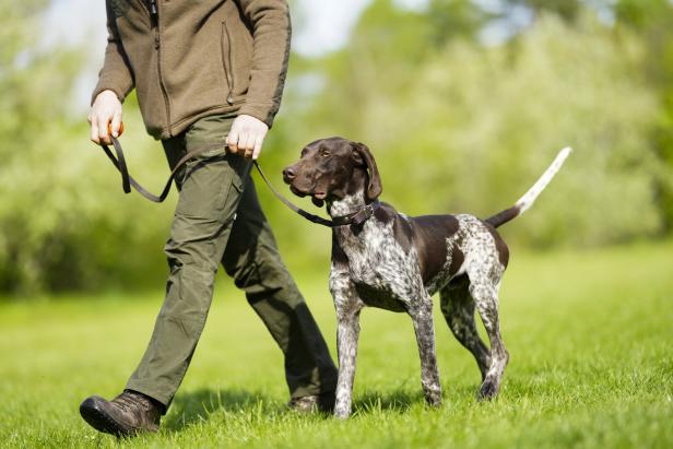 WIEN: PRÄSENTATION INNENMINISTERIUM "AUSBILDUNG VON JAGDHUNDEN" - KOOPERATION ZWISCHEN JAGDVERBAND NÖ UND BMI/POLIZEIDIENSTHUNDE