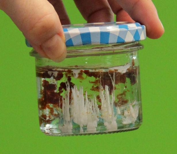 Ein Glas mit einer Flüssigkeit und einer blauen, karierten Deckel wird von einer Hand gehalten.