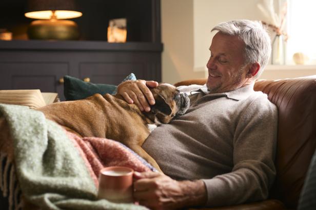 Mature Man At Home In Jumper With Hot Drink Of Tea Or Coffee In Cup Stroking Pet French Bulldog