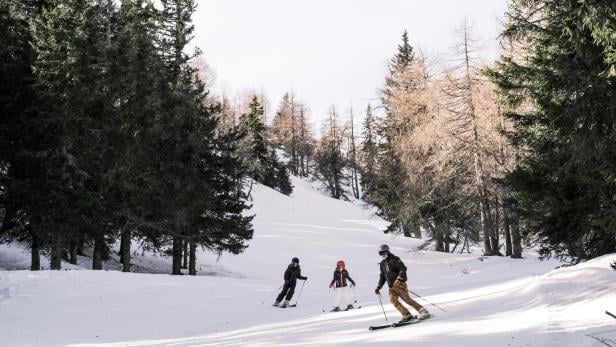 Drei Skifahrer fahren auf einer verschneiten Piste durch einen winterlichen Nadelwald.