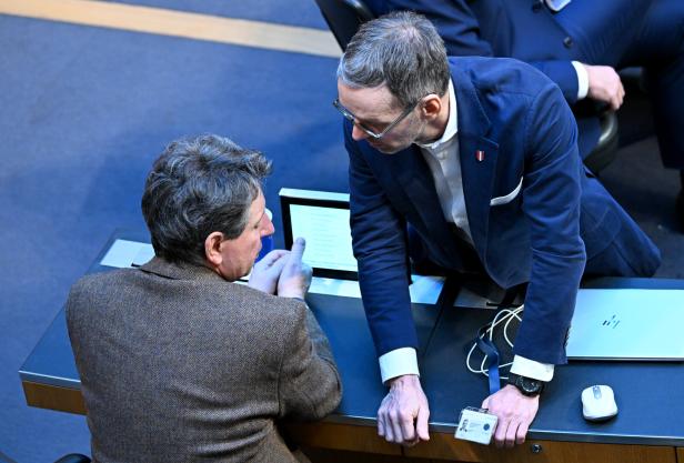 Nationalrat: Nemeth und Herbert Kickl