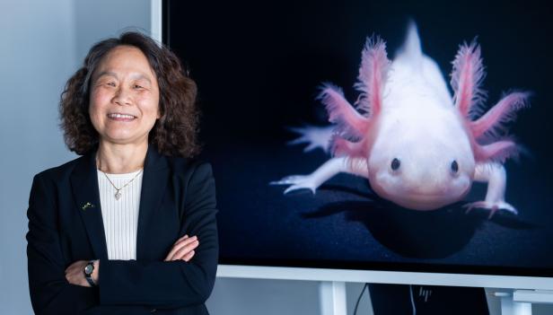 ++ ARCHIVBILD ++ WITTGENSTEINPREIS 2025: ELLY TANAKA