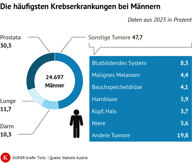 Die Grafik zeigt die häufigsten Krebserkrankungen bei Männern.