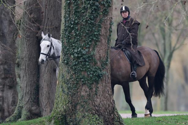 Andrew Mountbatten-Windsor beim Reiten im Great Windsor Park