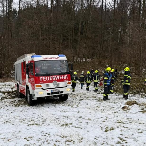 feuerwehrleute im Wald