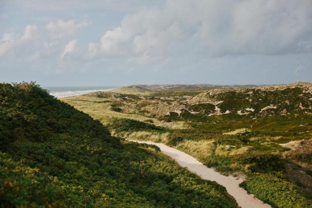 Sandweg schlängelt sich durch grüne Dünenlandschaft mit Blick auf das Meer unter bewölktem Himmel.