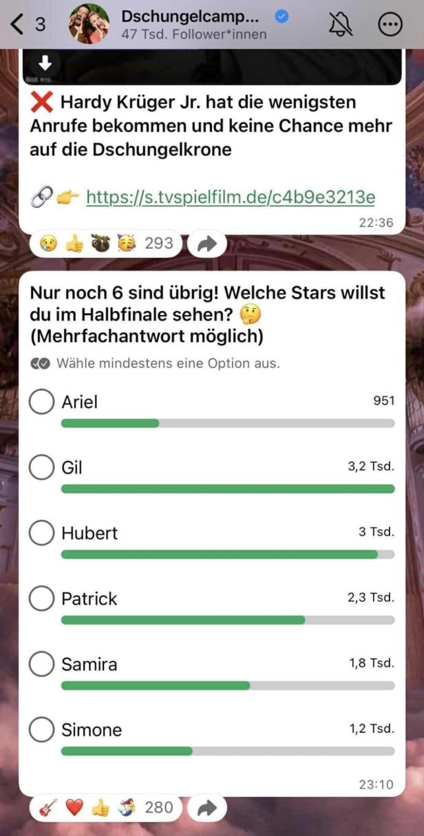 Dschungelcamp WhatsApp-Channel