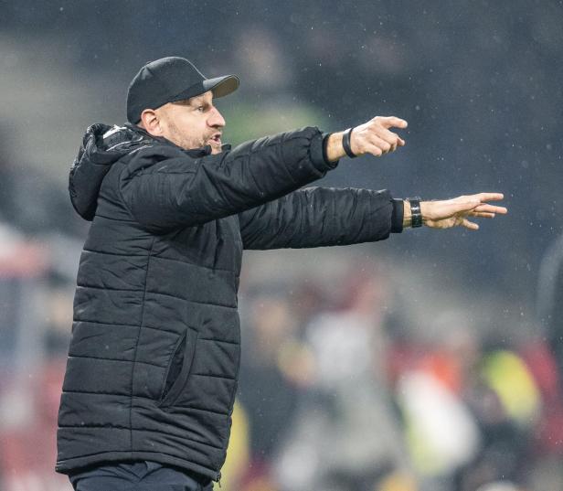 Austria-Trainer Stephan Helm