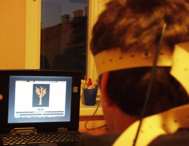 Eine Person sitzt vor einem Laptop mit einer Baumgrafik auf dem Bildschirm.