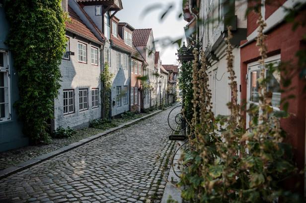 Schmale, gepflasterte Gasse in Flensburg mit alten, dicht stehenden Häusern und Kletterpflanzen an den Fassaden.