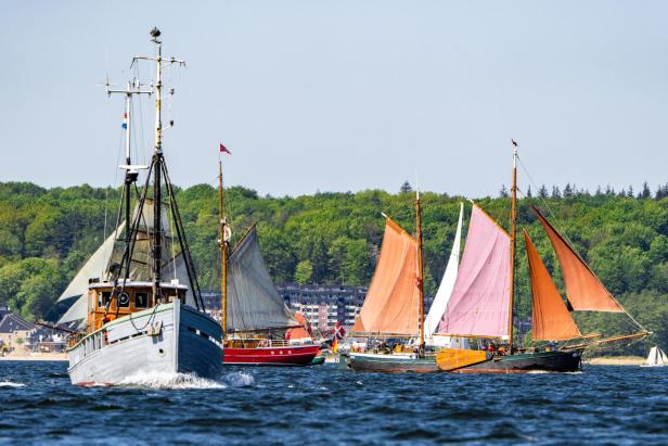 Rumregatta in Flensburg