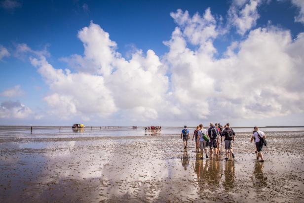Mehrere Menschen wandern bei Ebbe über das Watt unter einem Himmel mit großen weißen Wolken.