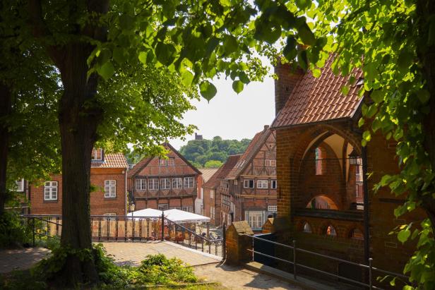 Fachwerkhäuser und Backsteinarchitektur prägen das historische Stadtbild von Mölln, eingerahmt von Bäumen und sommerlichem Grün.