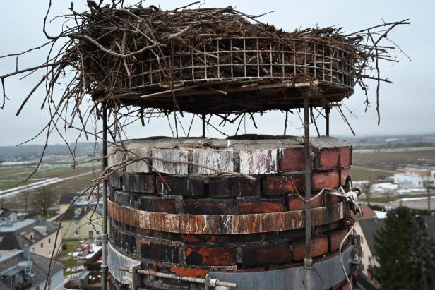 Horst am Schornstein der alten Molkerei 