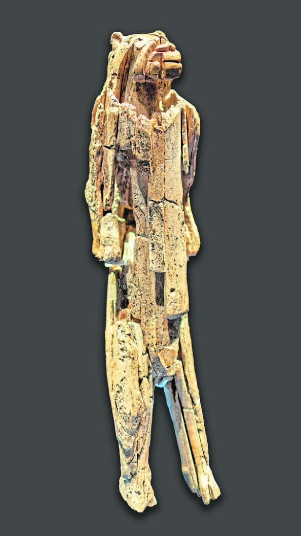 Der 40.000 Jahre alte Löwenmensch ist eine 31,1 cm große Elfenbein-Figur.