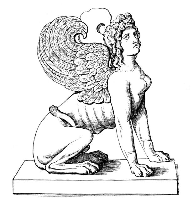 Die Zeichnung zeigt eine Sphinx mit weiblichem Kopf, Brüsten, Flügeln und dem Unterkörper eines Löwen.