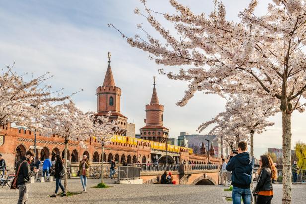 Blühende Kirschbäume säumen eine historische Brücke mit roten Türmen, während Menschen spazieren und eine gelbe U-Bahn vorbeifährt.