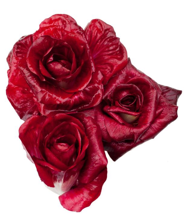 Fresh Red Radicchio, "Rosa di Gorizia"