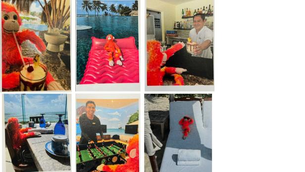 Orangener Plüschaffe genießt verschiedene Aktivitäten im Hotel, darunter Pool, Bar und Strandliege.