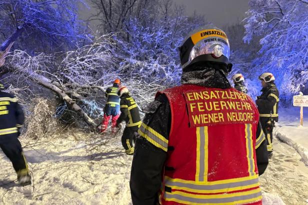 Ein umgestürzter Baum nach heftigem Schneefall