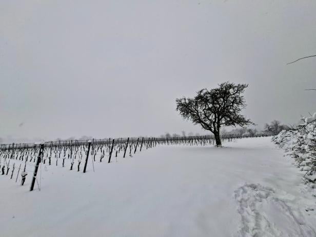 Schnee im Norden von Eisenstadt