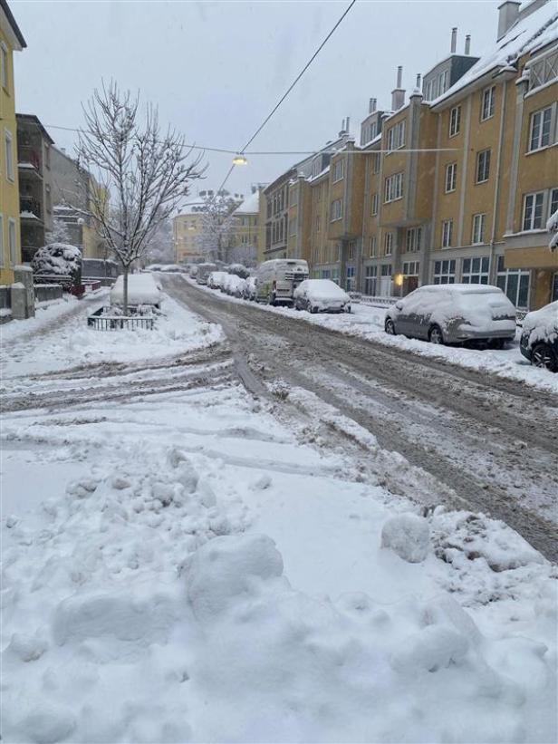 Neuschnee in Wien-Hietzing