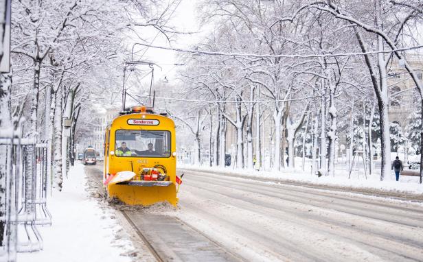 Schneeeeeeeee: Das Winter-Comeback in Bildern