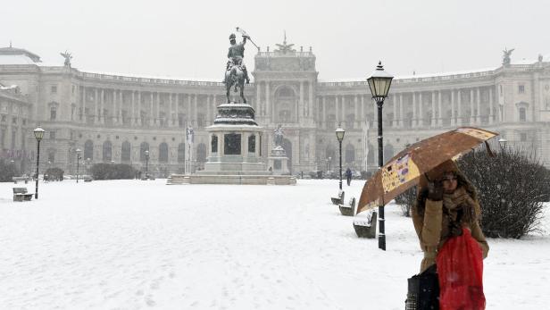 Wintereinbruch: Wien, ganz in weiß