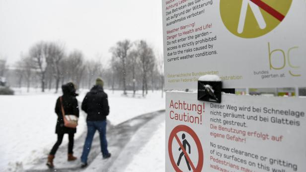 Wintereinbruch: Wien, ganz in weiß