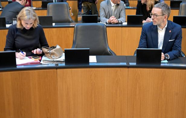 NATIONALRAT: MEINL-REISINGER / KICKL