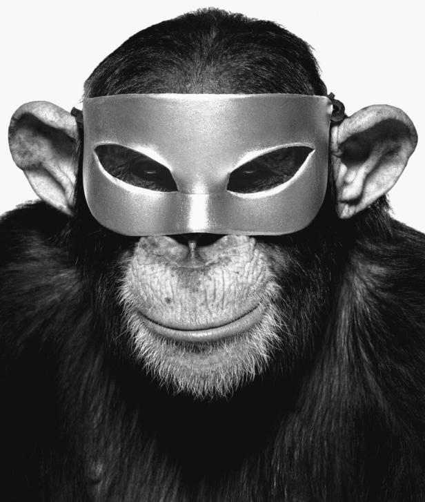 Affe Casey
