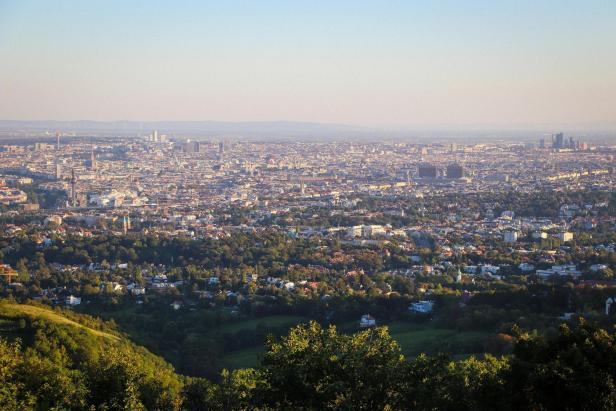 Blick über Wien mit viel Grün im Vordergrund und dichter Stadtbebauung im Hintergrund.