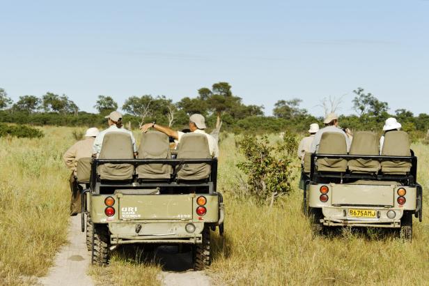 Tourists on safari