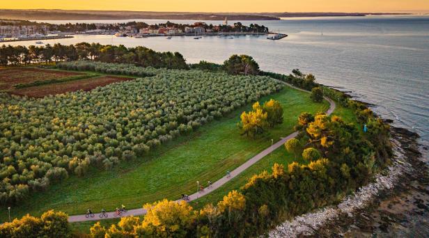 Radfahrer auf einem Küstenweg zwischen Olivenhainen mit Blick auf eine Stadt am Meer bei Sonnenuntergang.