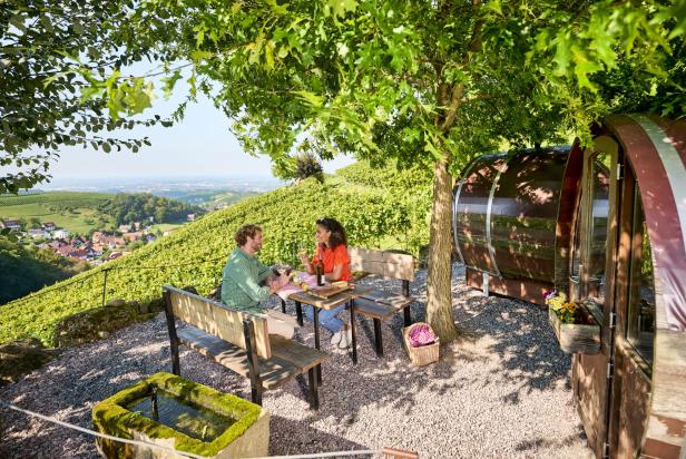 Zwei Menschen genießen Wein und Essen an einem Tisch im Schatten eines Baumes mit Blick auf Weinberge.