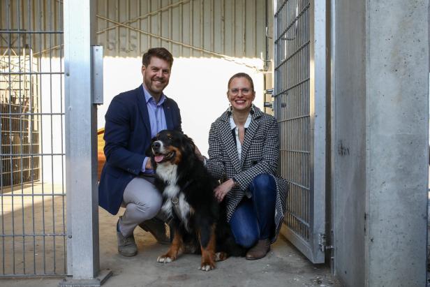 Ein Mann und eine Frau knien in einem Tierheim neben einem großen, schwarz-braunen Hund und lächeln.