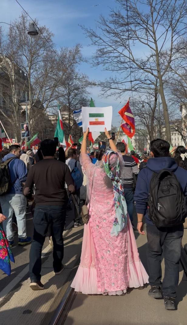 Menschenmenge bei einer Demonstration, eine Frau in rosa Kleid hält ein Schild hoch, umgeben von Fahnen und Transparenten.