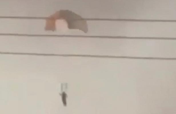 A person parachutes in Al Jahra, in this still image obtained from social media video