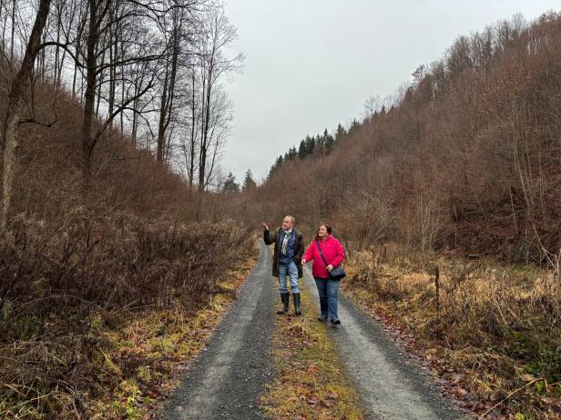 Zwei Personen spazieren durch einen herbstlichen bzw. winterlichen Wald. Alles ist braun. Sie gehen auf einer Forststraße.