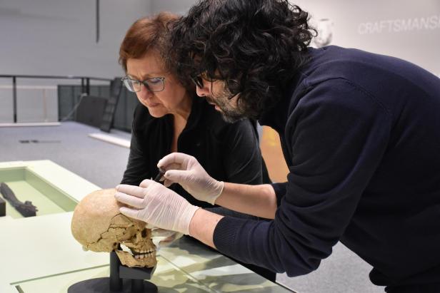 Aufbau der Ausstellung