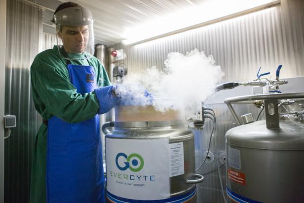 Eine Person in Schutzkleidung arbeitet an einem großen Edelstahltank, aus dem dichter Dampf aufsteigt.