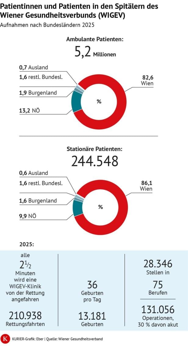 Grafik zu Patientenzahlen, Herkunft, Rettungsfahrten, Geburten und Operationen im WIGEV 2025.