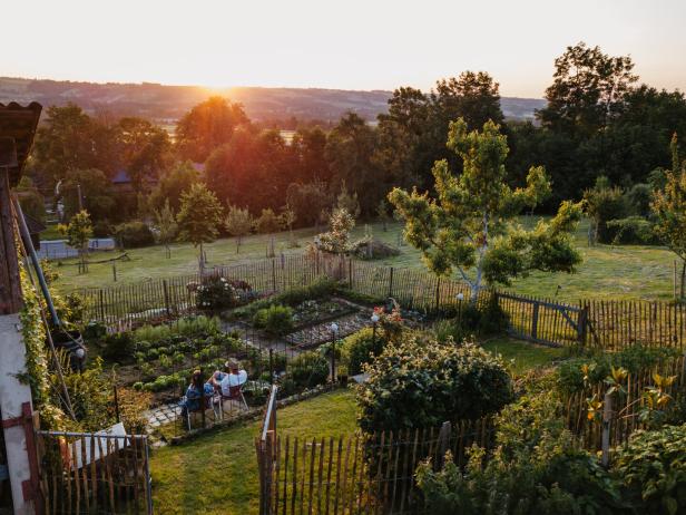 Beete im Licht der untergehenden Sonne