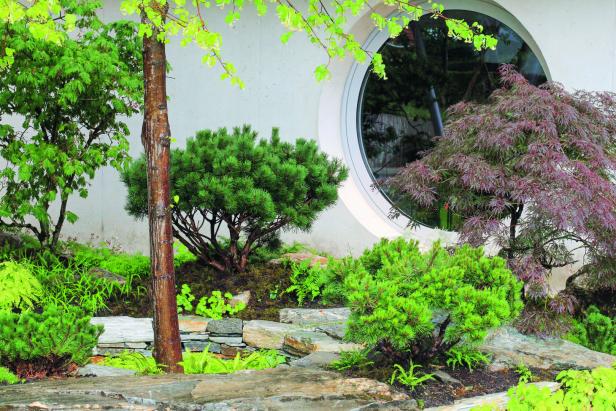 Vorgarten mit Latschen und Schiefer