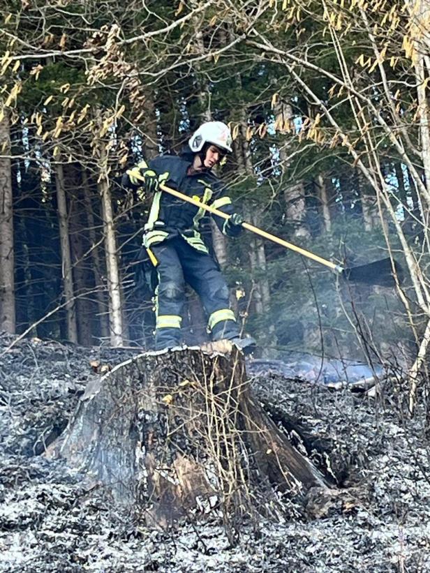 Feuerwehrmann bekämpft Waldbrand