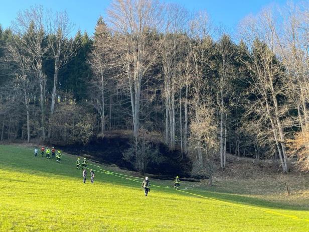 verbrannter Waldboden