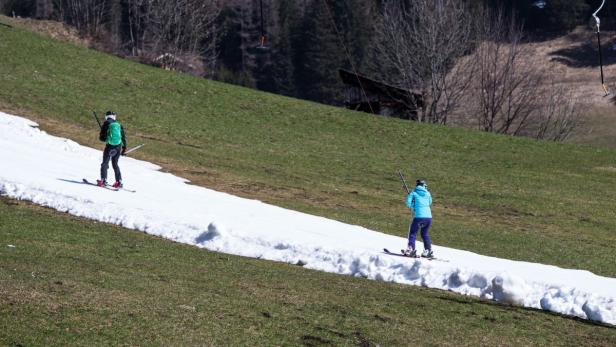 Zwei Skifahrer fahren einen schmalen Streifen Schnee auf einem grünen Hügel hinunter.