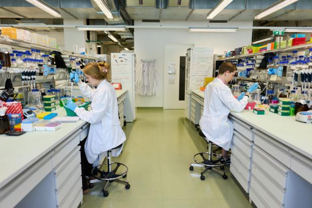 Zwei Personen in Laborkitteln arbeiten mit Pipetten an Labortischen, umgeben von Laborgeräten und Chemikalien.