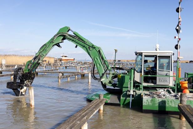 Ein grünes Arbeitsboot mit Baggerarm arbeitet an Holzpfählen in einem Hafenbecken bei sonnigem Wetter.