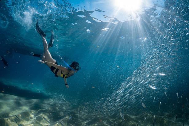 Eine Person mit Schwimmflossen und durch das Wasser dringt Sonnenschein 